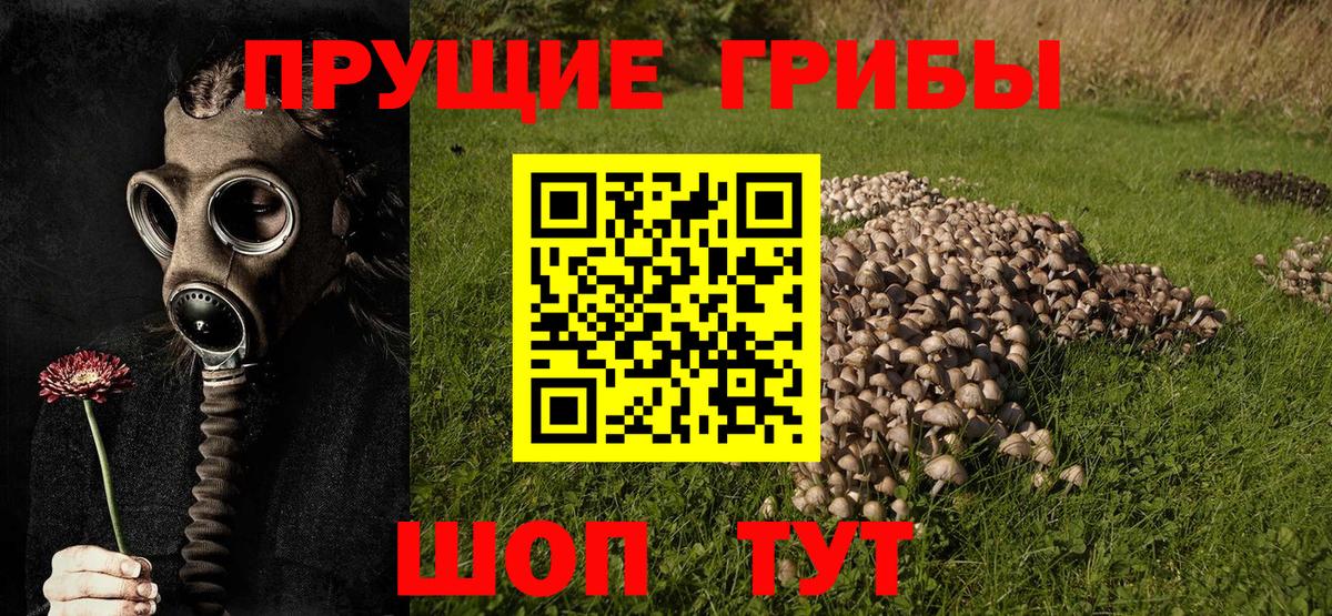 Ишимбай  Псилоцибиновые грибы мицелий  Галлюциногенные грибы MAGIC MUSHROOMS  Вход с VPN 